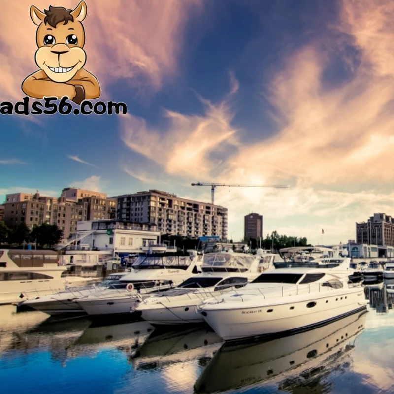 Batteries  from China sea  shipping  LCL to Chad/Lebanon/Turkey wechat 15972985923