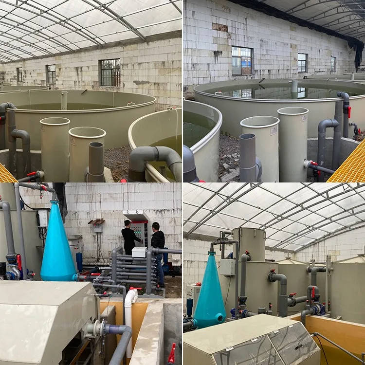 Factory price custom made high quality ras aquaculture system fish farming equipment full set for sturgeon breeding