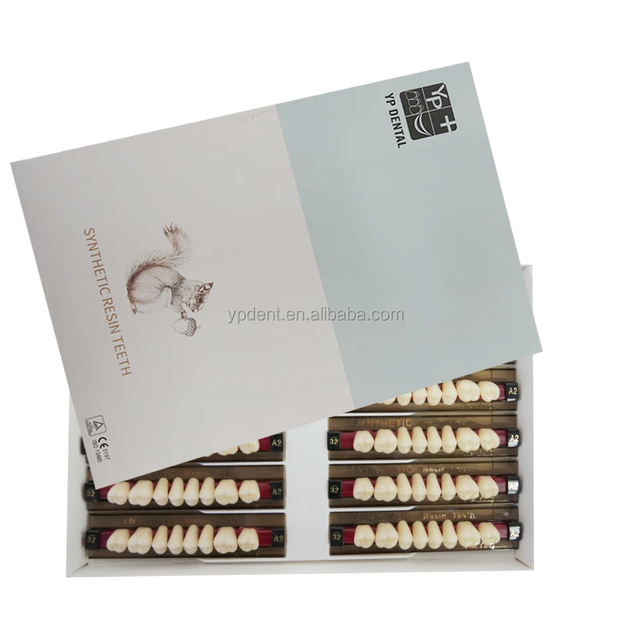 YP 2  Layer Acrylic Resin Teeth Full Set False Teeth Dentures Dental Resin Teeth