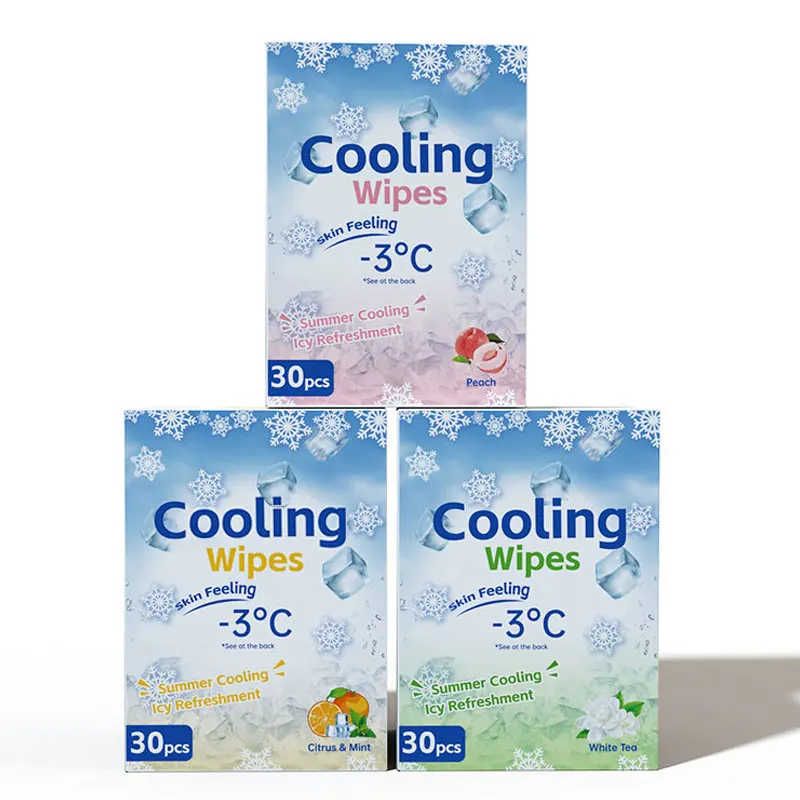 OEM ODM Adult Body Cleaning Wet Wipes Skin Care Wipes Ice Cool Wipes