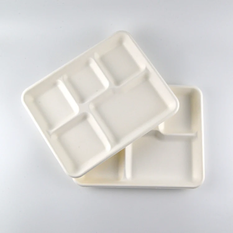 Bagasse 5 Division Tray 5 Compartments Sugarcane Plate 5 Compartment Biodegradable Lunch Tray