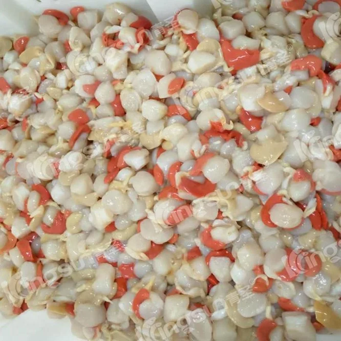  GoodPrice Frozen Half Shell Farreri Scallop Roe on for sale