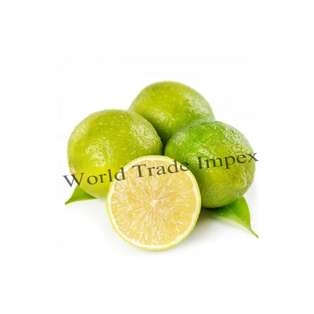 
 Оптовая продажа свежих индийских цитрусовых лимонов  
