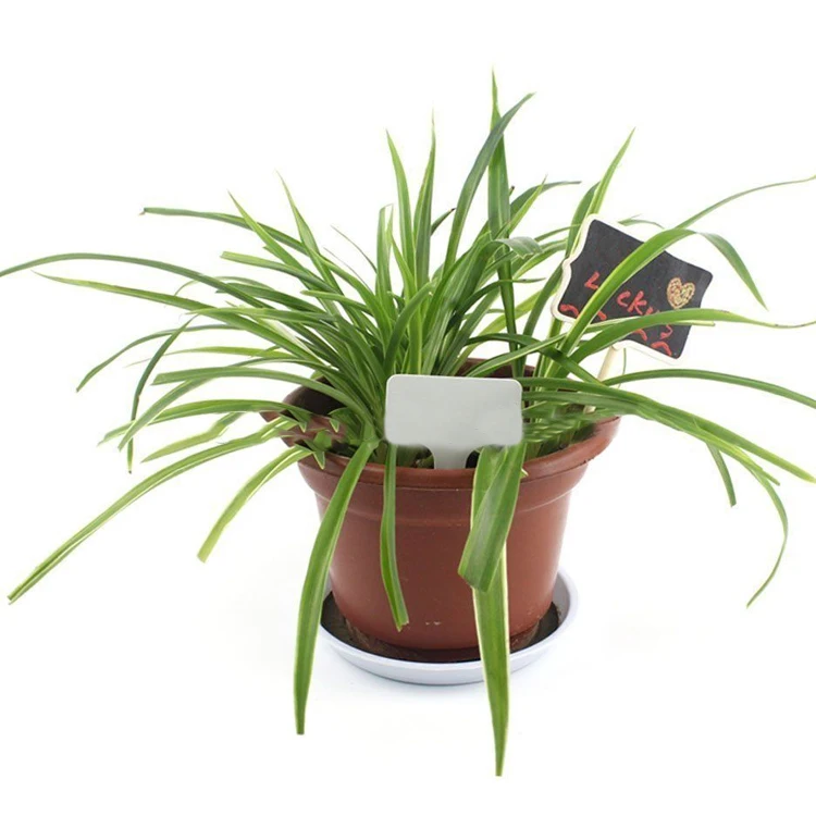 Winslow & Ross wholesale waterproof Plastic 6' Plant Nursery Garden Labels T-type Name Tags Markers Labels Marker