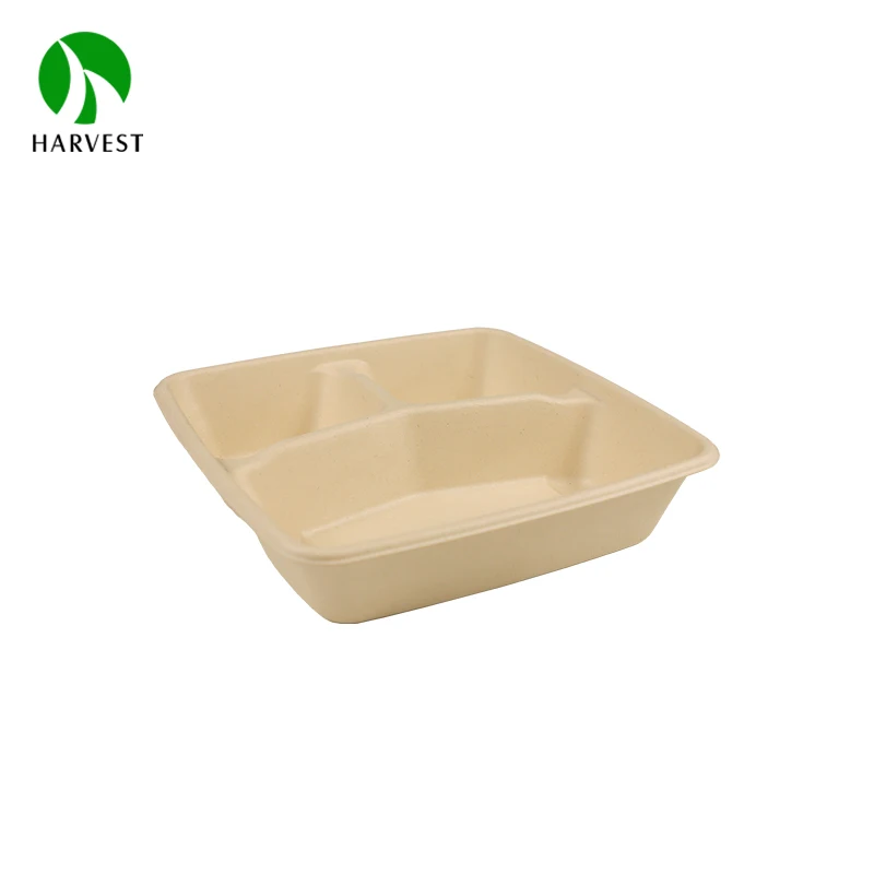 Square 8 Inch Eco friendly sustainable biodegradable food packaging