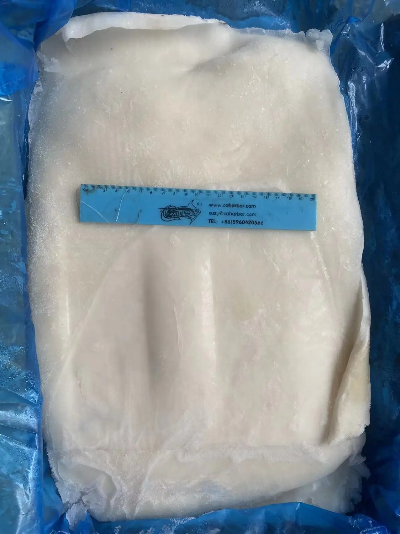new process skinless high quality hot sale frozen giant squid fillet