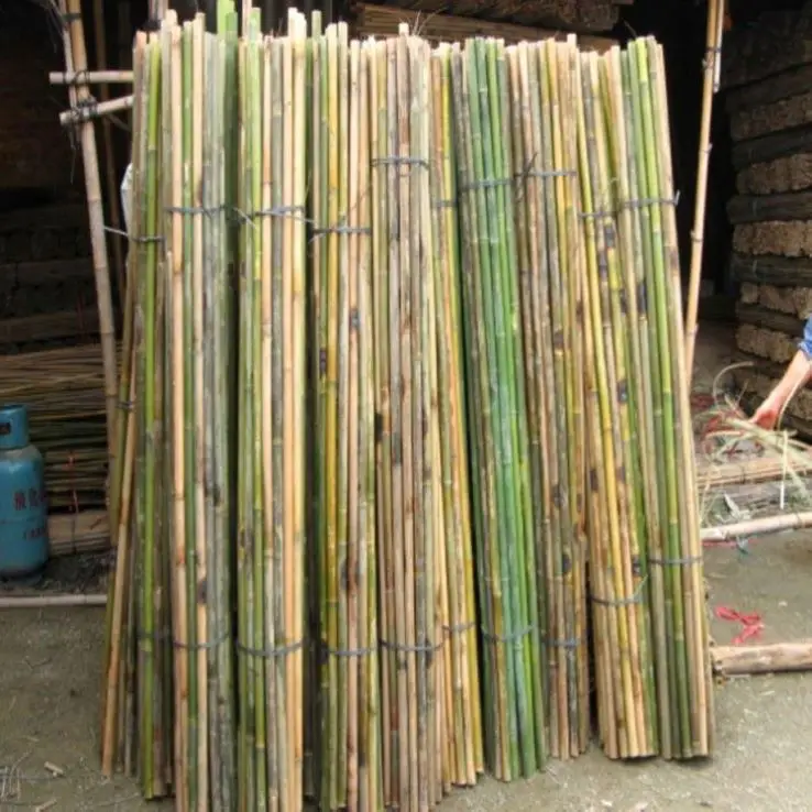 Processed large big bamboo poles natural suppliers