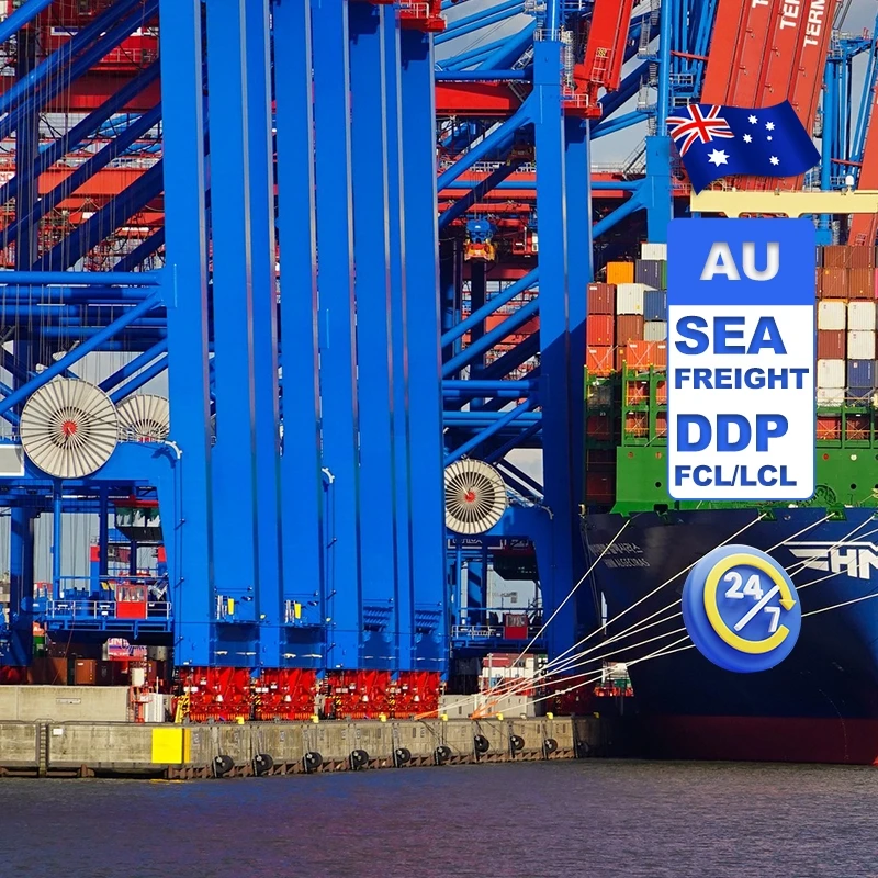 Door To Door Yiwu Sea Freight Forwarder Shipping Agent China To Saudi Arabia Express Ddp Sea Freight Forwarder