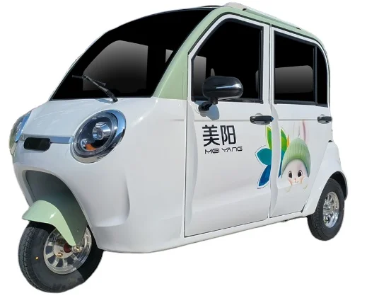 MEIYANG Customized 1500W Adult Electric Tricycle 3-Wheel Closed Cabin Scooter with Customized Color
