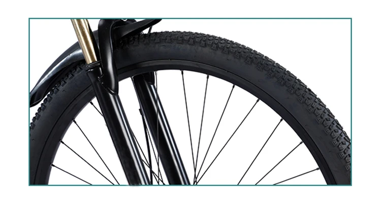 hot sale 4.0 fat tire large wheel 29 inch 48v 1000w beach electric e bike