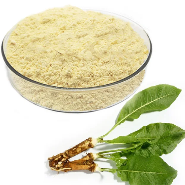 Fresh horseradish roots, horse radish, armoracia rusticana Mustard wasabi mostarda Senf mustard extract