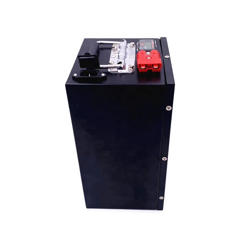 100ah 24v 80ah lifepo4 battery pack lifepo4 bms 8s 24v lfp iron phosphate battery 24 v for electric golf cart sightseeing car
