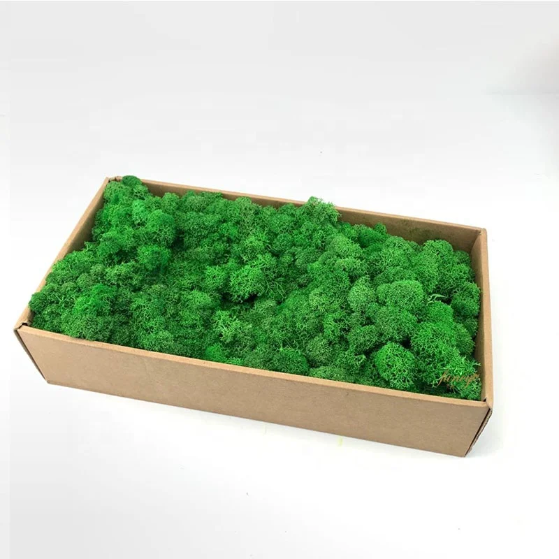 Wholesale Natural Real Green Preserved Reindeer Moss Wall Frame Decoration Stabilized Moss