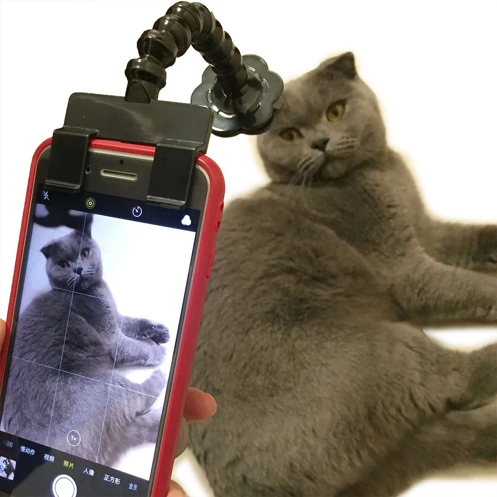 
Eco Friendly Pet Selfie Dog Selfie Ball Stick Tool For Pets 