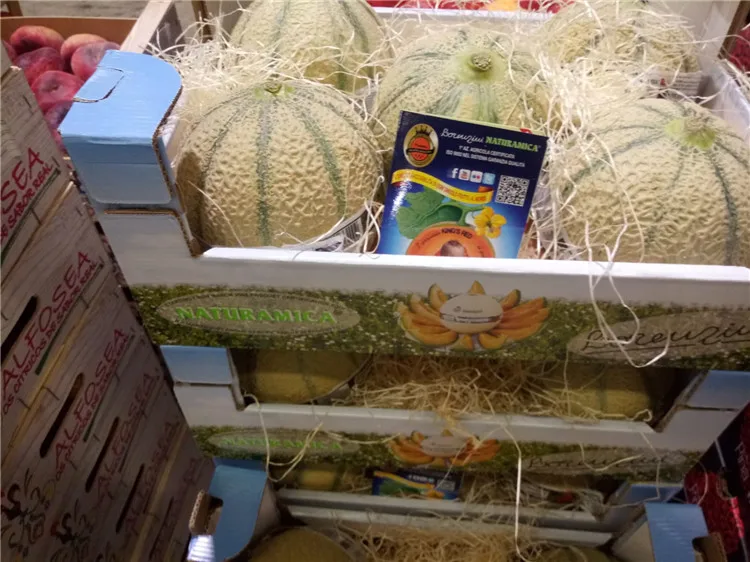 Italy lorenzini Orange Pulp Melon Musk,Fresh Fruit