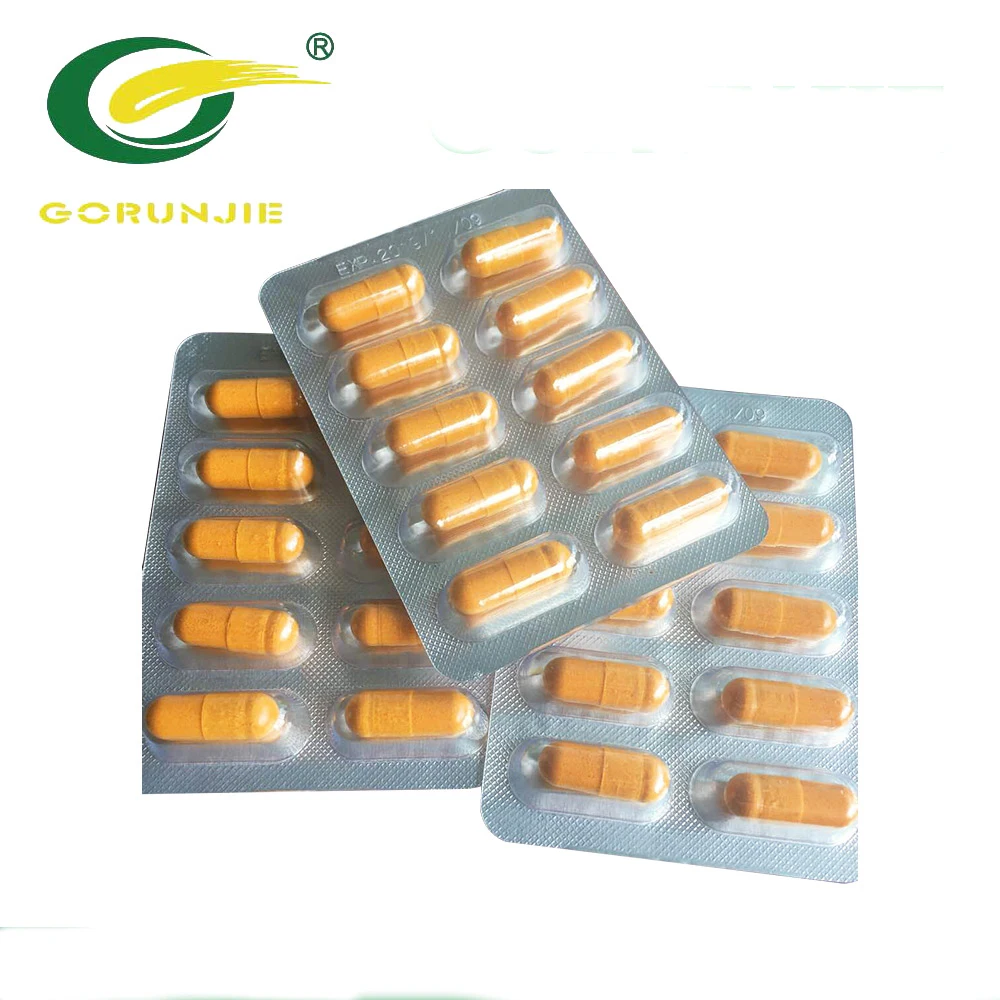 Garcinia Cambogia Extract Hydroxycitric Acid 60% Powder OEM Service