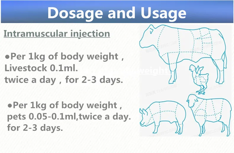
Bird/pigeon medicine anticoccidial drug for goats bacillus rabbit hexie brand ENR 10% Oral Solution 