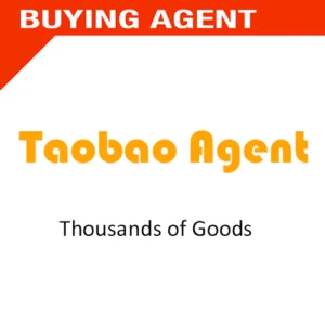 Cheap Logistics Agent Air Cargo Freight Forwarder From China Shipping Agent 1688 Dropshipping to Roma Italy