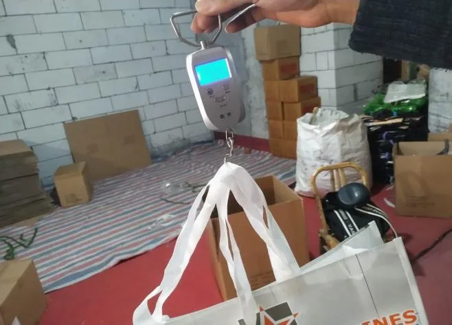 Non Woven Bags Inspection Service and Quality Control in Wenzhou, Zhejiang,China /Pre Shipment Inspection Service