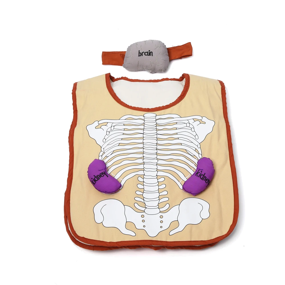 High quality baby english learning toys for leader joy montessori  body organ display apron