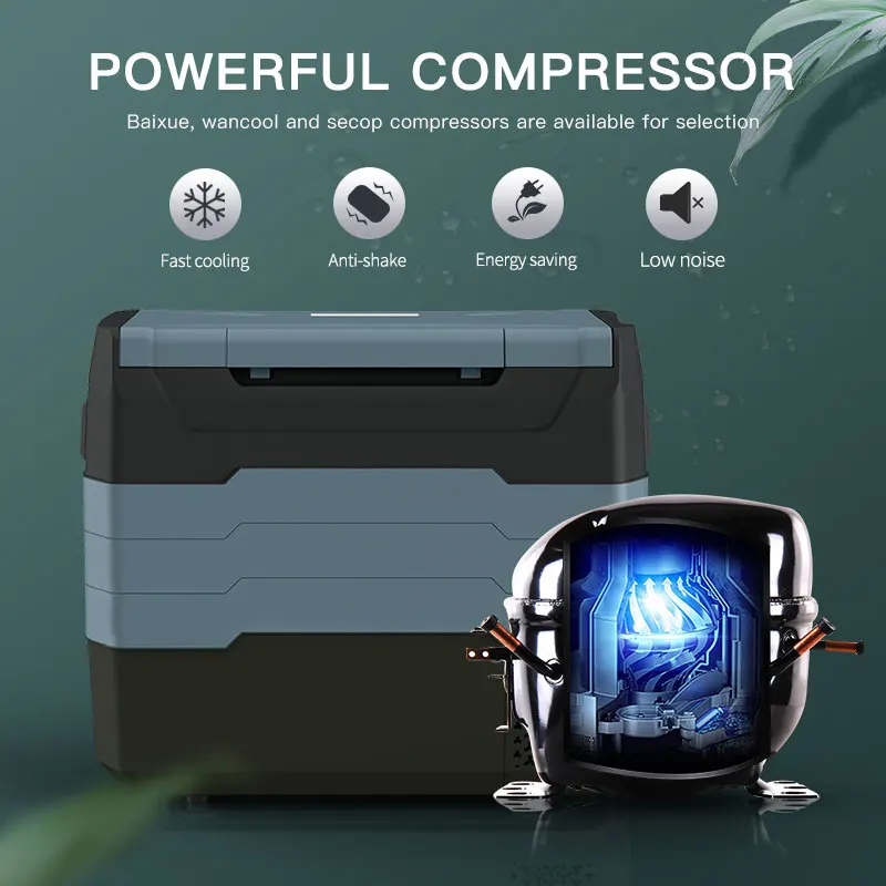 WAYCOOL TE55 50L 12V/24V AC100~240V Customized Car Fridge for Car Battery Charge with Compressor for Outdoor Camping and cars