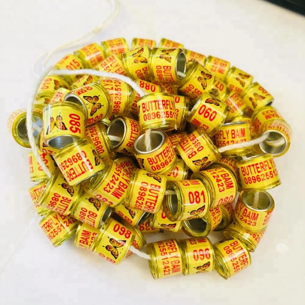 Пользовательские группы ног 2020 с вашим именем номер телефона канарейки Перро lovebird кольца