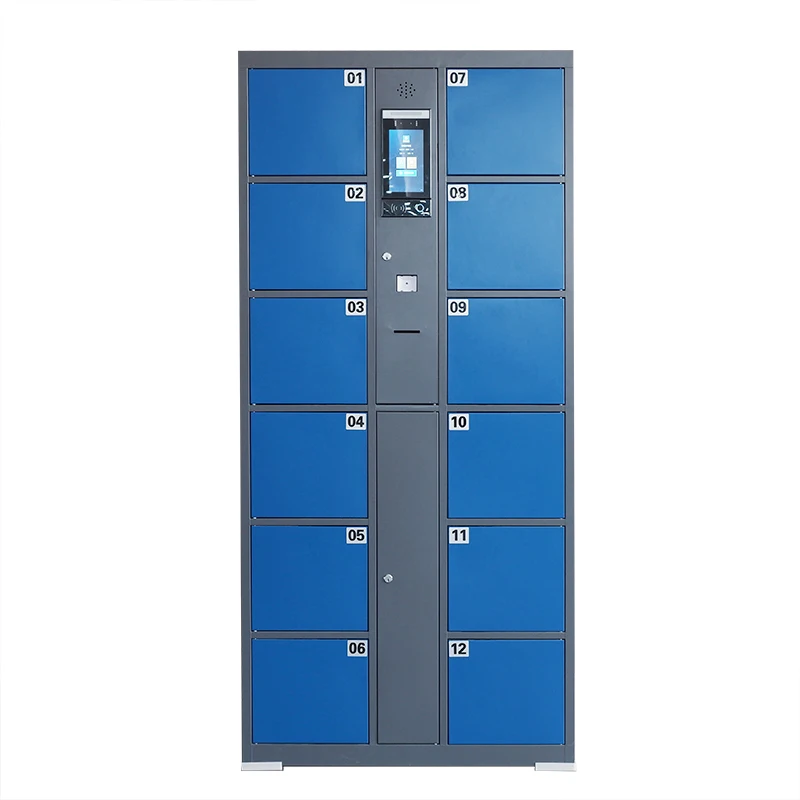 Metal storage cabinet Electronic Locker Customized Swipe Card fingerprint Face recognition password smart parcel locker