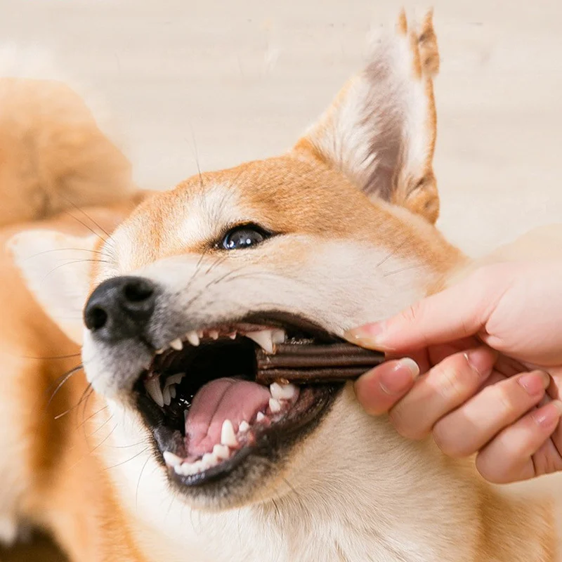 Wholesale dog molar stick several flavors dog snack  natural dog treats