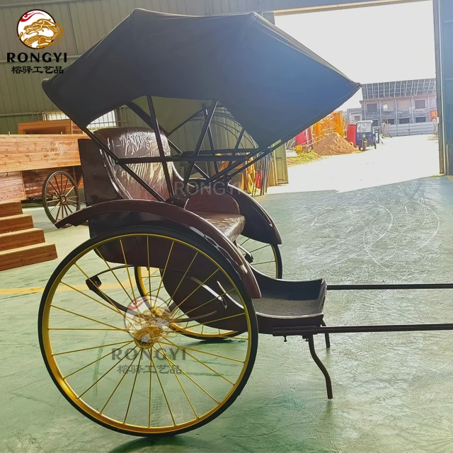 Cheap Transport Vehicle 2 Seats Pedicab Rickshaw/New Model Rickshaw/High Quality Chinese New Style Rickshaw for Sale