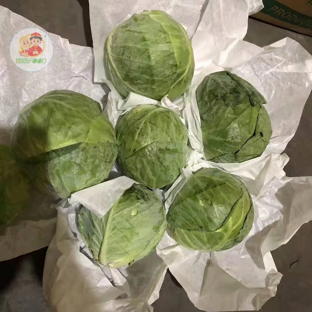 Новый Урожай Горячая продажа Капустная Свежая китайская капуста оптовая цена готов к