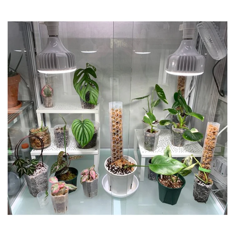 New Idea 2022 plastic moss poles for Climbing plants Totem Support Moss stand stick w