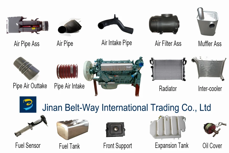 Sinotruk spare parts   Fuel Injection Pump VG1246080150