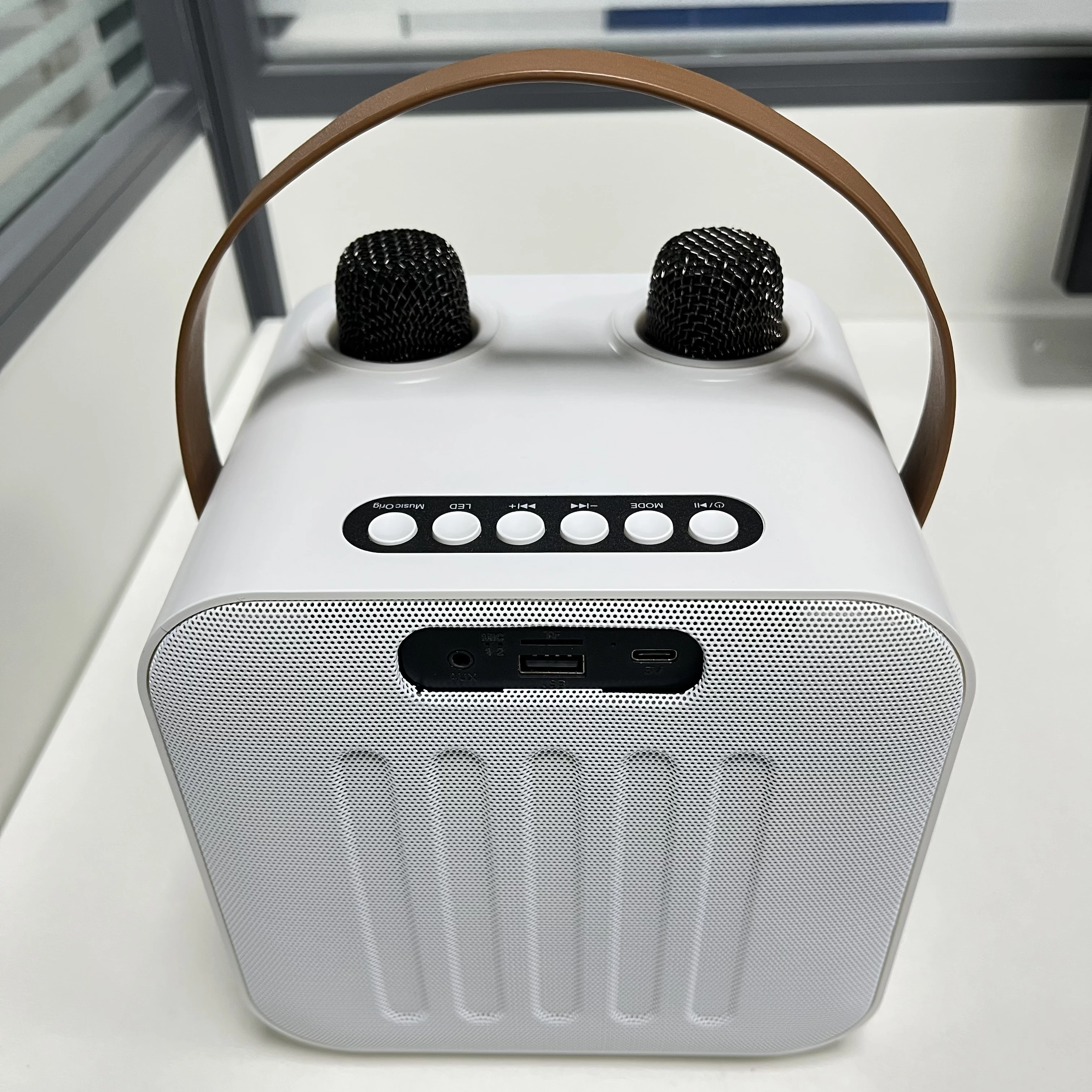 Portable Karaoke Machine LED Screen BT5.0 Wireless karaoke speaker with wireless microphone