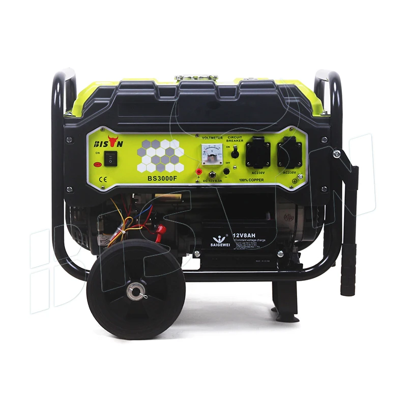 Bison Chinese Made 230V 60Hz Gasoline Generator 7 Kw 110 220 Volts Gasoline Electricity Generator