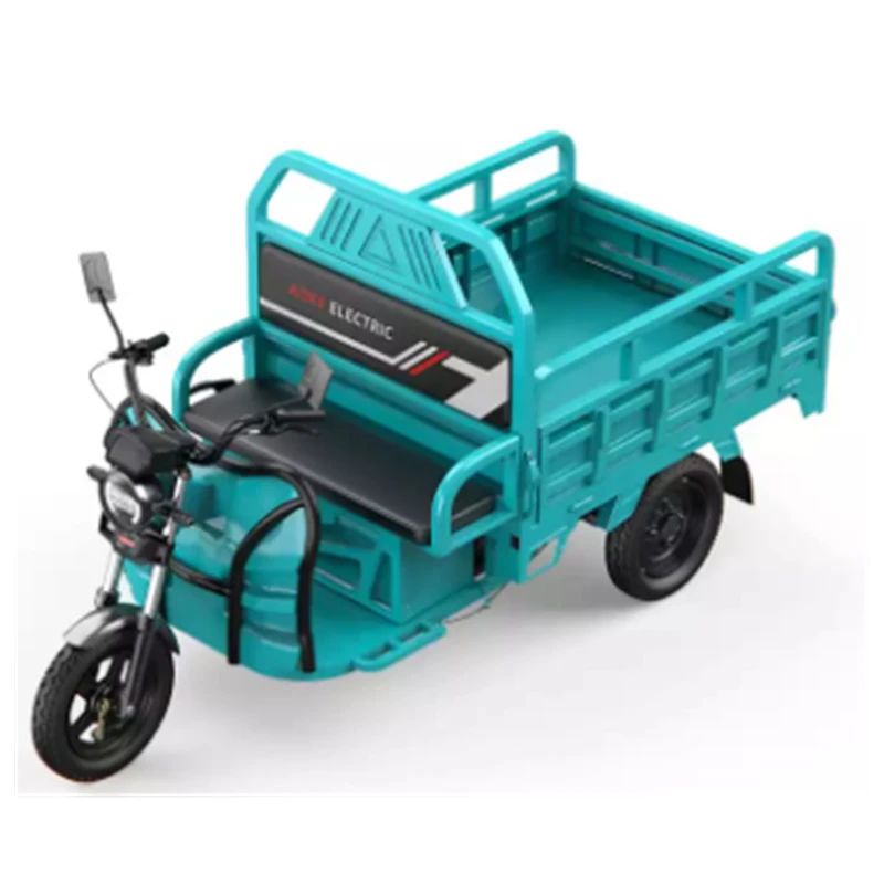 Factory Price Hot sale Three Wheel Cargo Tricycle Battery Electric Trikes for Adults 60V1000W Motorized tricycles