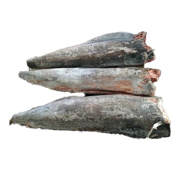 Wholesale HACCP 20kg Frozen Blue Marlin Fish