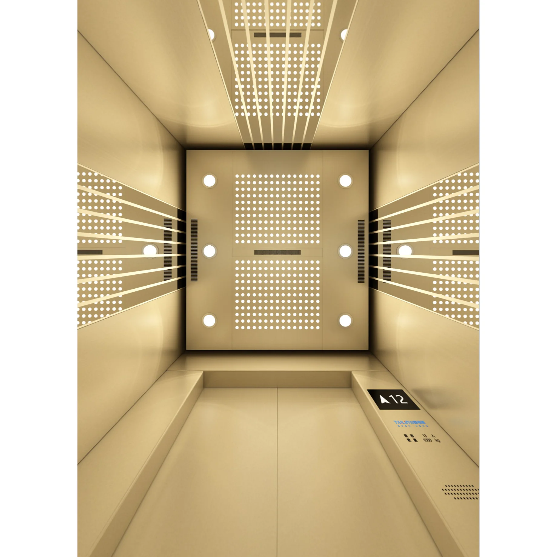 Electronic IC Cards Control Elevators With Gold Elevator Cabin 630kg/800kg 8/10 Persons Passengers For Hotels
