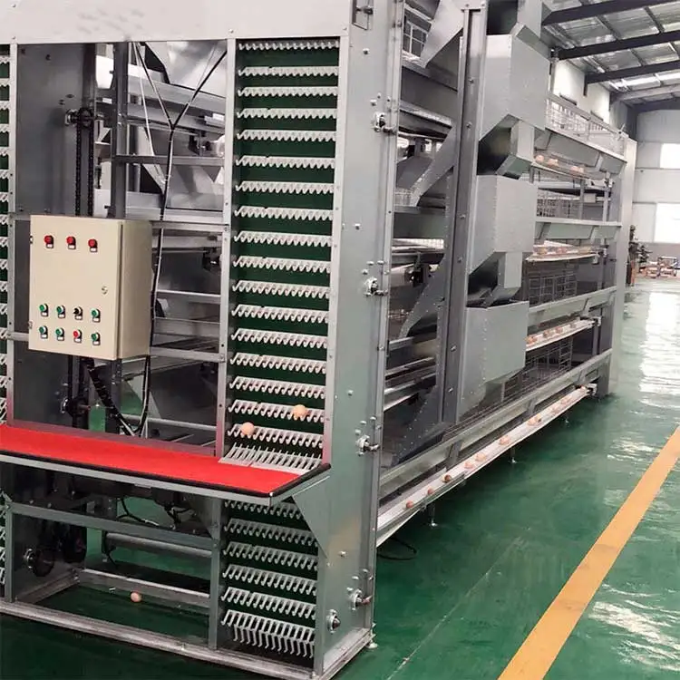 Маленькая куриная клетка с конвейером 4x4, сварная проволочная сетчатая панель, Бройлер, куриная клетка типа h