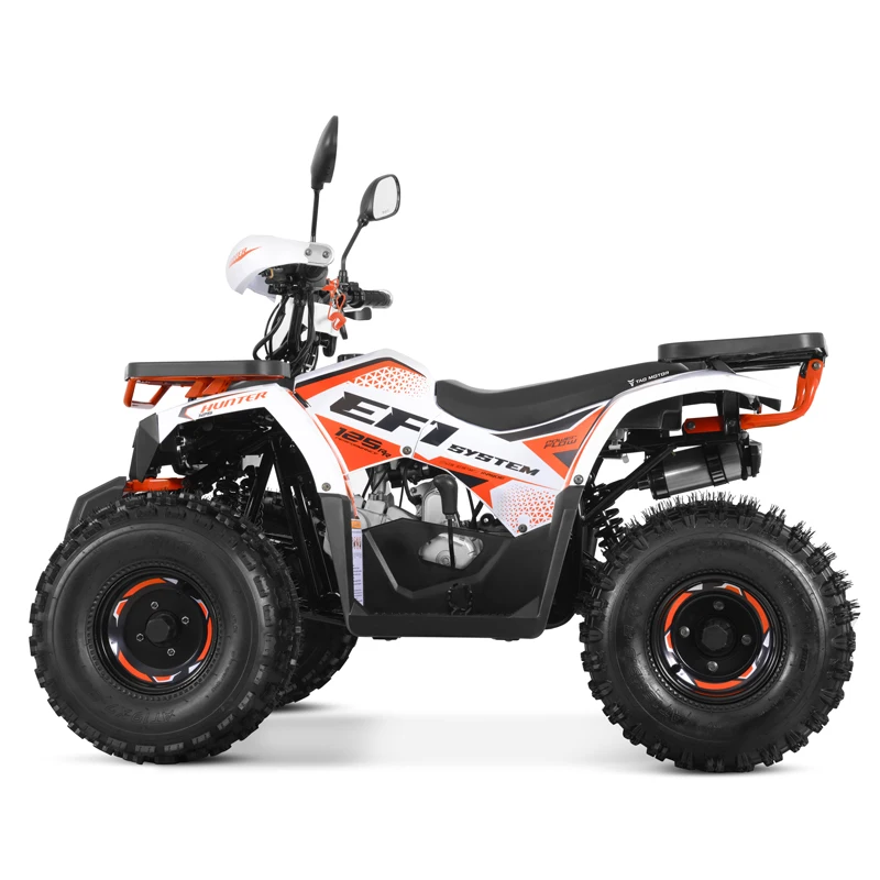 Tao Motor New EFI Electronic Fuel Injection ATV 125 Cheap Chinese Automatic with Reverse Chain Drive Farm ATV 125cc ATV
