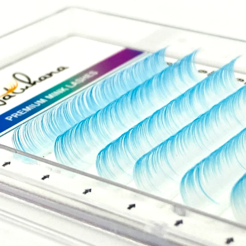 OEM Custom Logo Ombre Eyelash Extension PBT Material Individual Volume Mink Ombre Color Lashes Wholesale