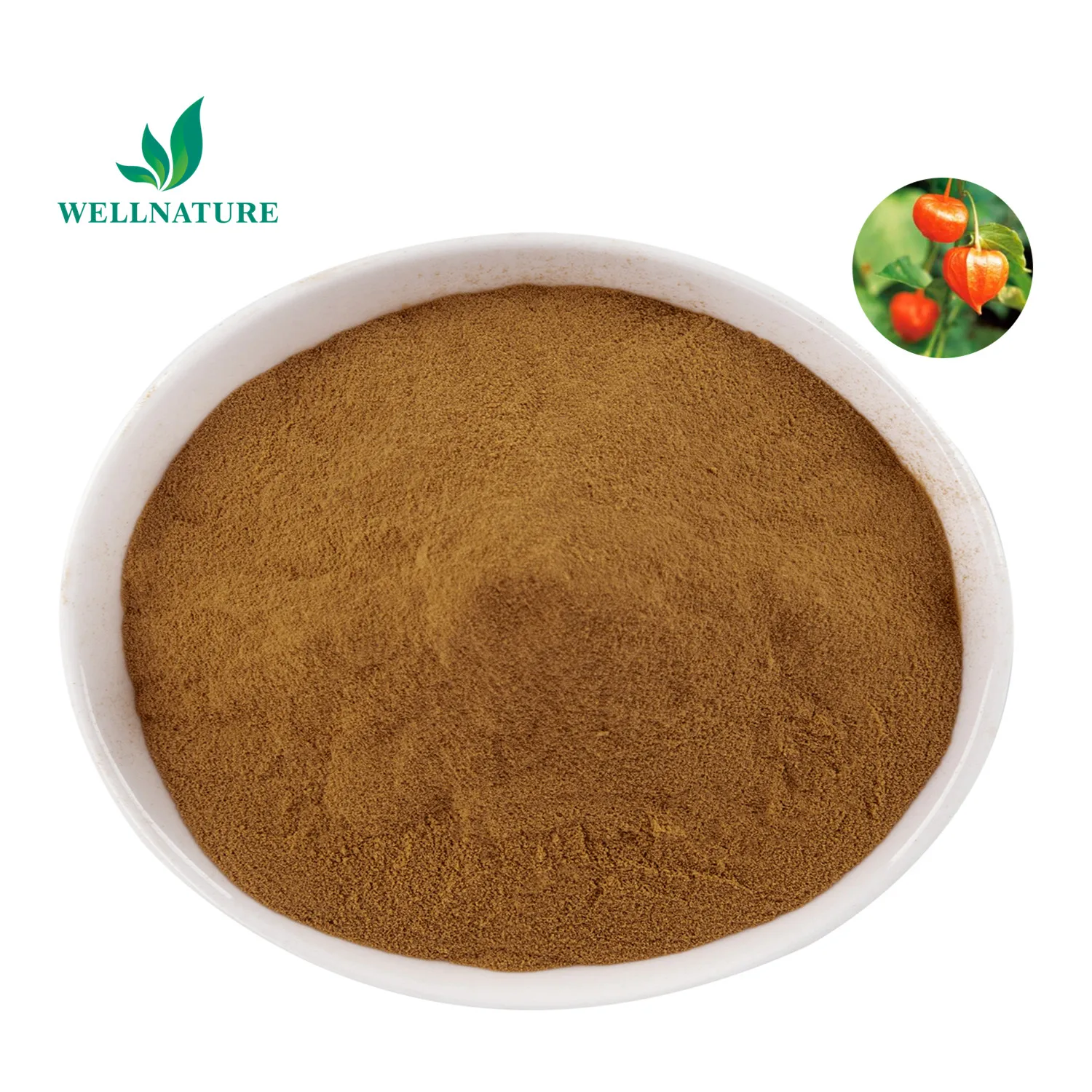 Factory bulk Wholesale Ashwagandha Extract Powder 2.5% 5% 8% 10%  Withanolide 9:1 10:1 Ashwagandha Root raw material good price