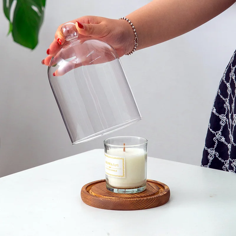 High Quality Clear Borosilicate Glass Display Bell Dome Cloche with Wood Base For Decoration