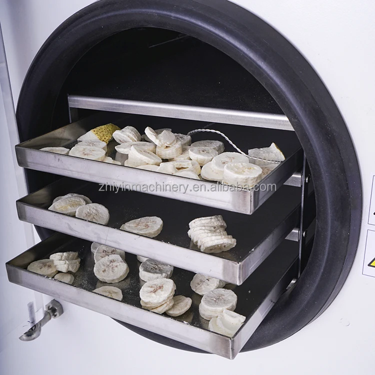 Multifunctional Small Fruit Freezing Machine Household Laboratory Vacuum Lyophilization Machine