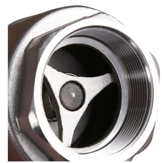 2PC Spring Stainless Steel Ball Float Check Valve