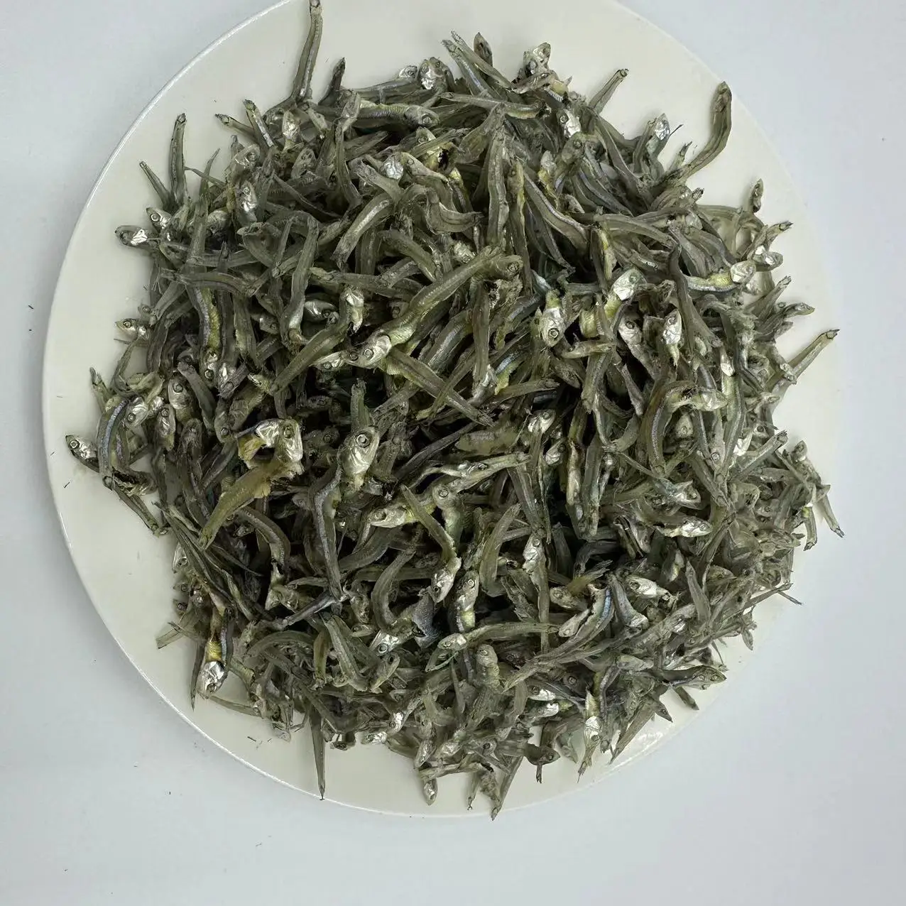 Dried wild Sardinella loniceps whole round with salt  Dried wild Sardine Fish