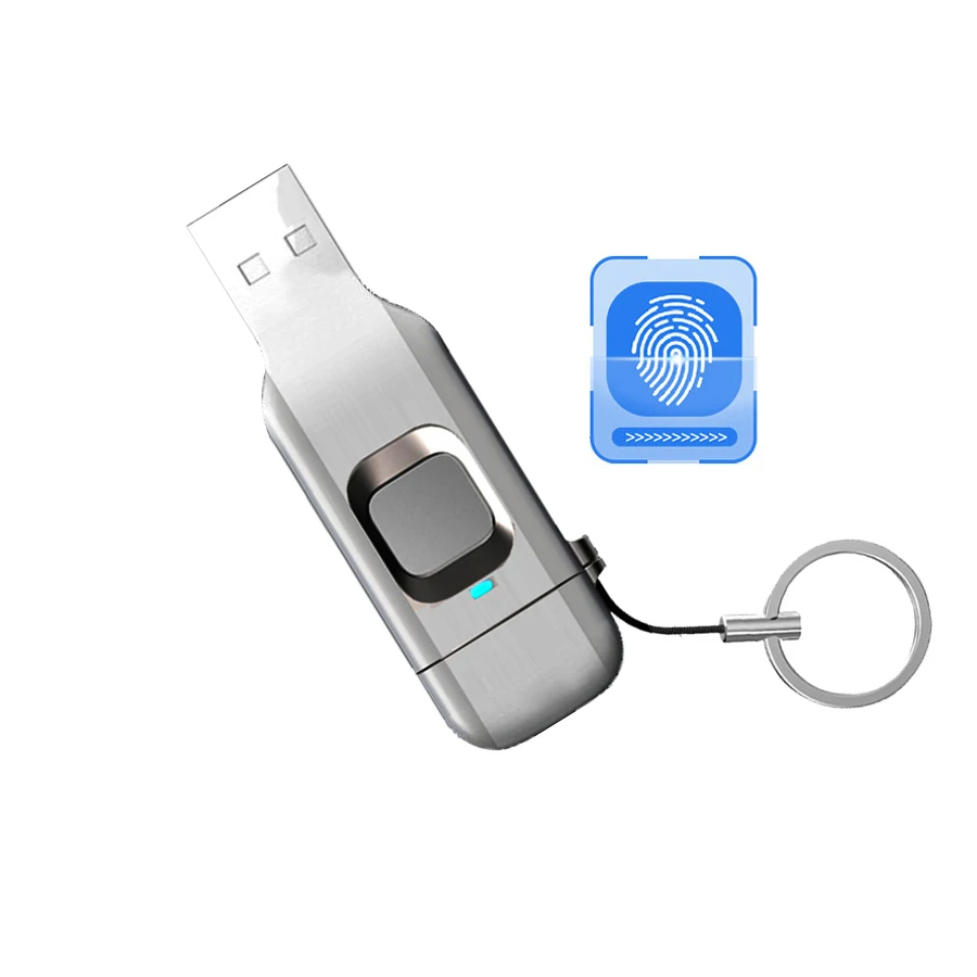 TYPE-C USB3.1 Fingerprint USB Flash memory drive 16gb 32gb 64gb 128gb 256gb 512gb TYPE C Fingerprint Pendrive