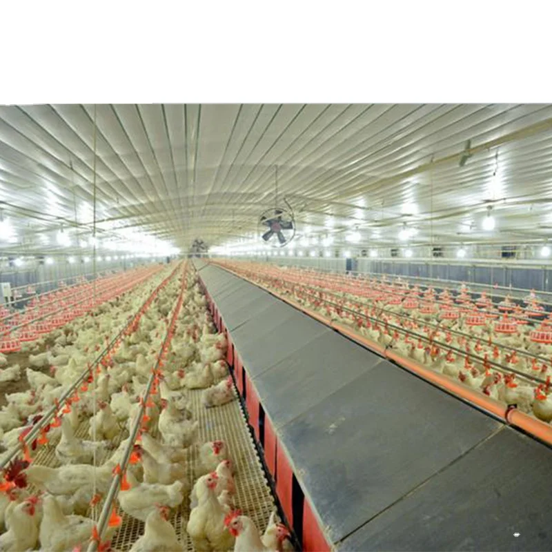 Factory Price Steel Structure Poultry House Chicken Egg Poultry Farm Layer Cage For Sale In African Farm