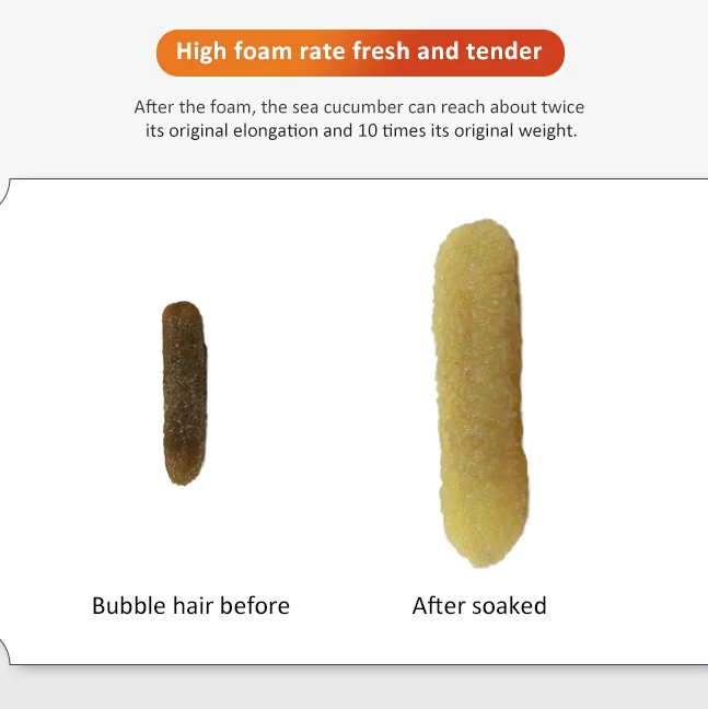 High Quality Round And Smooth Tube Sand Cucumber Dried Sea Cucumber From Australia