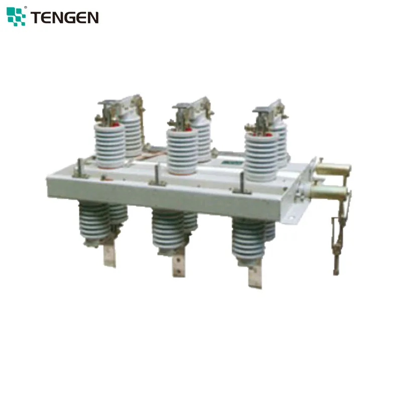 Tengen GN30 12KV Indoor High Voltage Rotary Isolating Switch