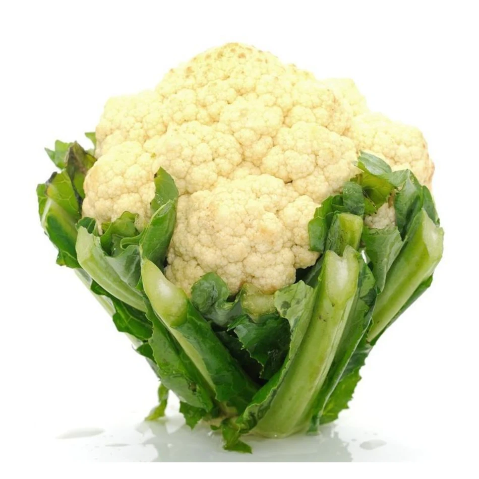 Wholesale Healthy Fresh Vegetable White Fresh Cauliflower